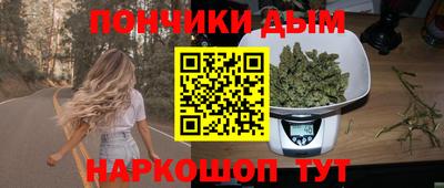 гидропоника Сланцы