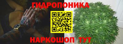 тгк Кимры
